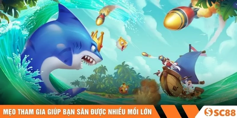 Mẹo tham gia giúp bạn săn được nhiều mồi lớn